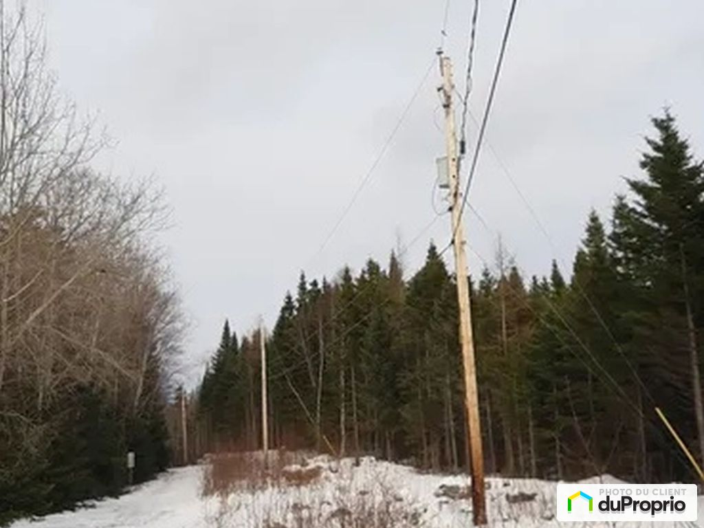 656 700 Chemin De La Cote Sud — photo 3