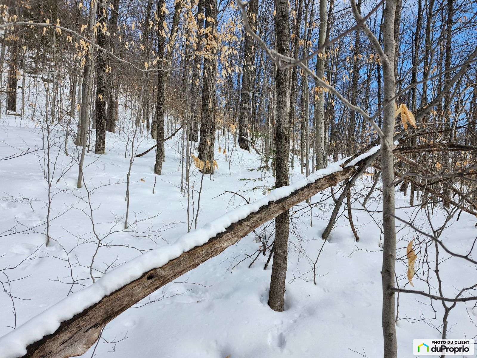 387 Chemin Du Fort — photo 3
