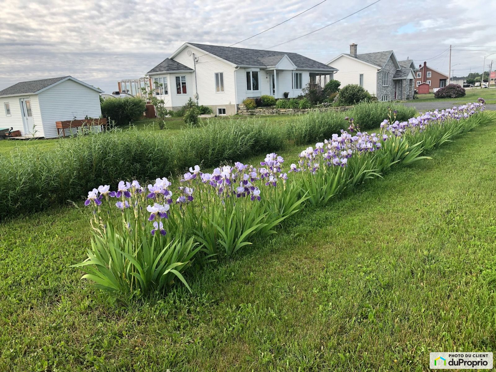 Bungalow à vendre Rimouski (Rimouski) 3 chambres 1 salle de bain #1066846