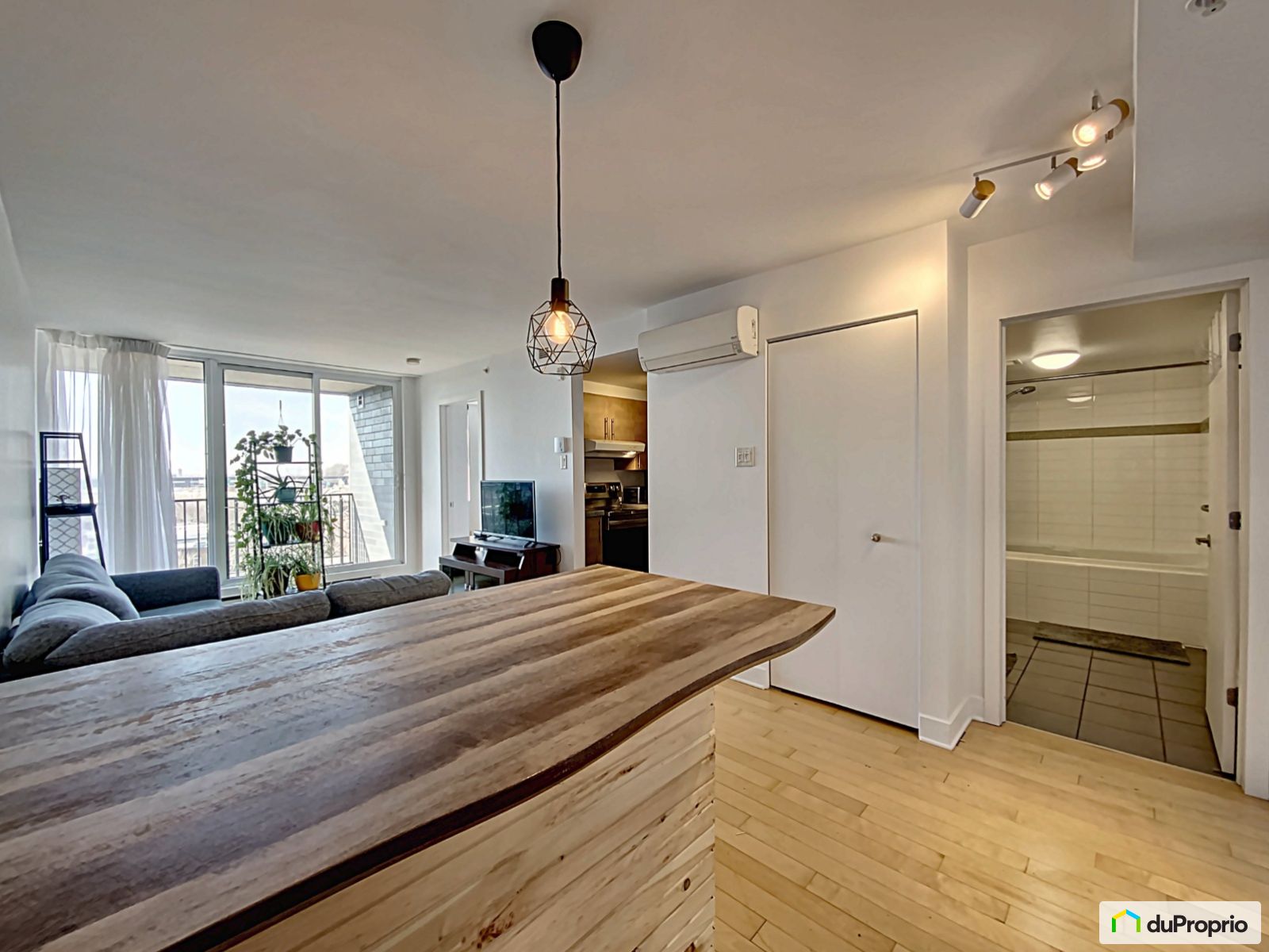 Condo à vendre Le SudOuest 1 chambre 1 salle de bain 1068361