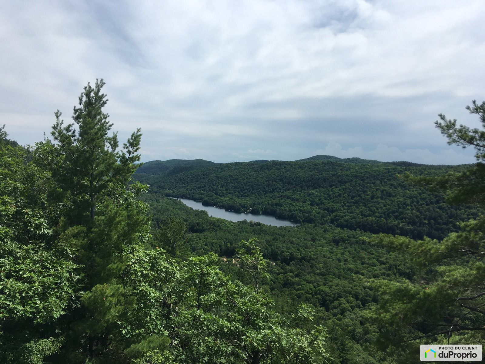 869 Chemin Du Lac Du Cardinal — photo 3