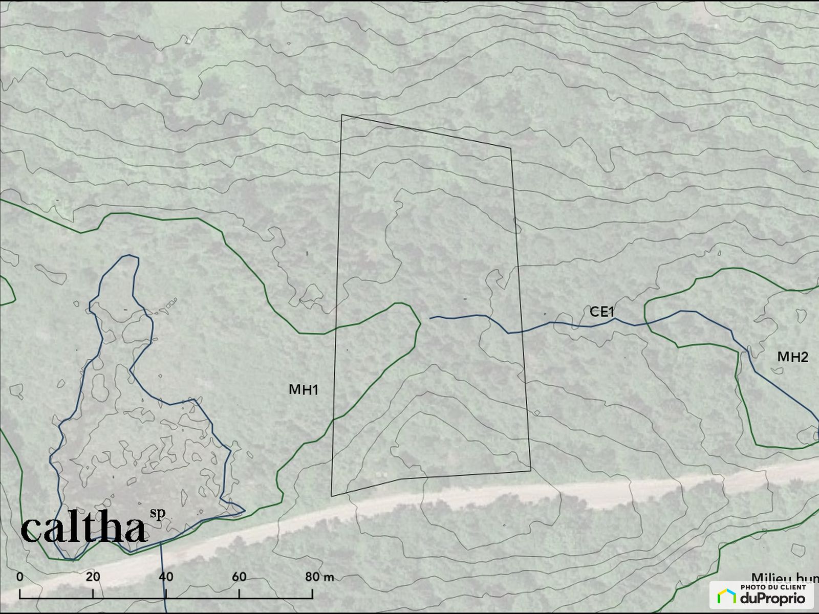Chemin Du Massif — photo 3