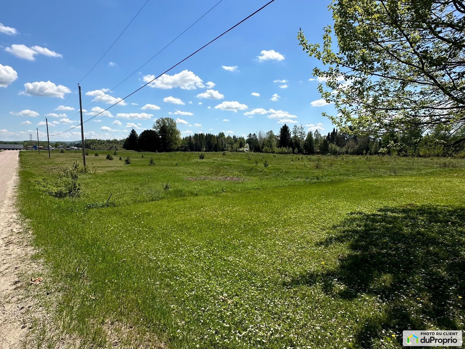 Terrain résidentiel à vendre LacDesEcorces 1061636