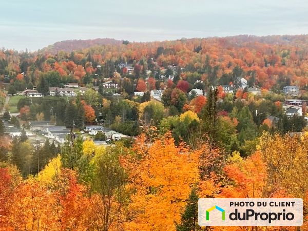 Vue arrière - 150, chemin de Touraine, St-Sauveur à vendre