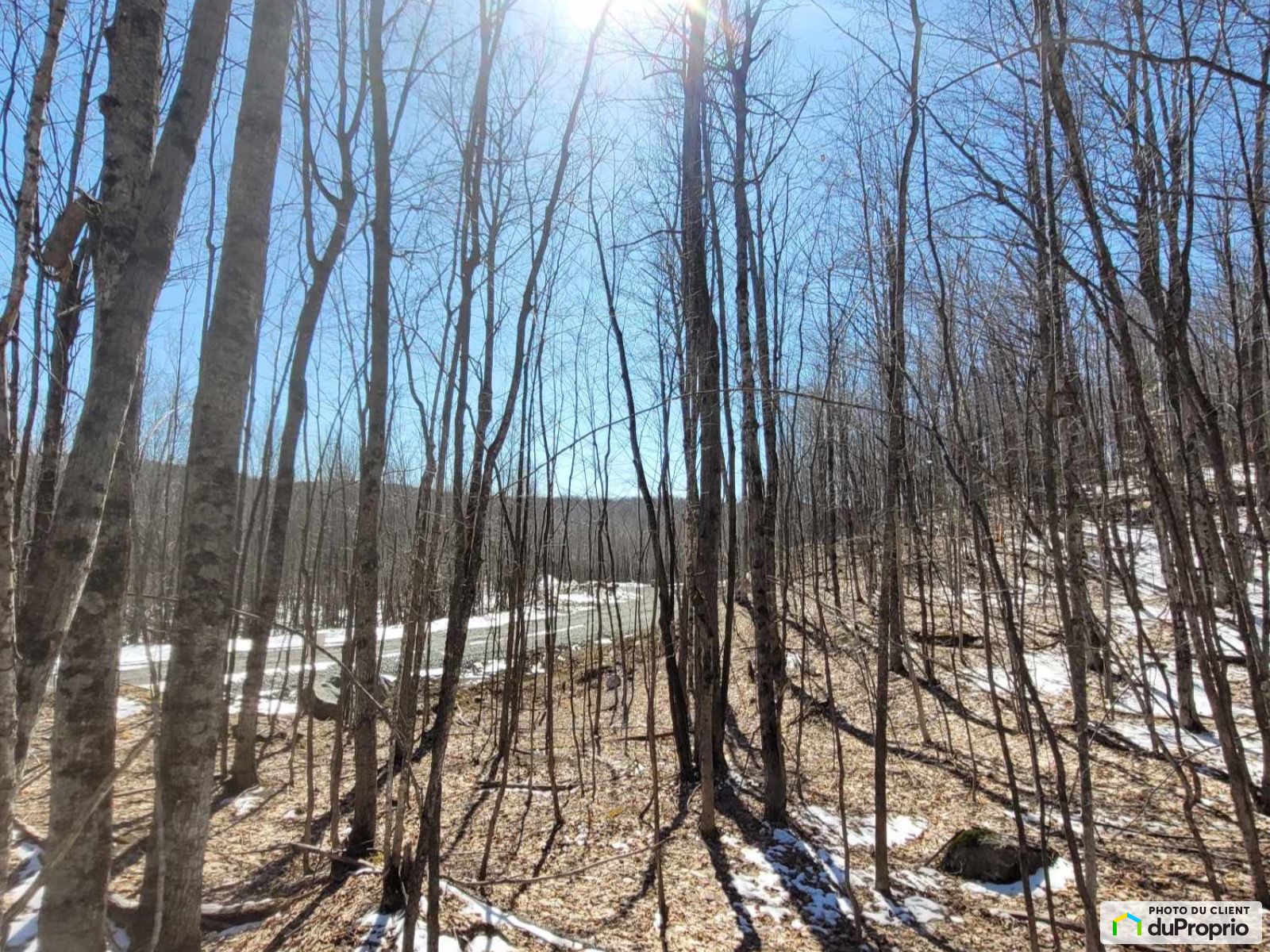 Residential Lot for sale ValDesMonts (StPierredeWakefield) 1073123