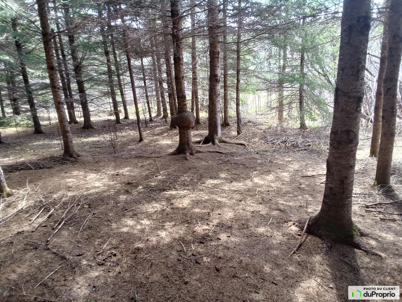 Terrain résidentiel à vendre StEusebe 1074600