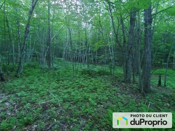 Woods - 280 rue du Patrimoine, St-Denis-De-Brompton for sale