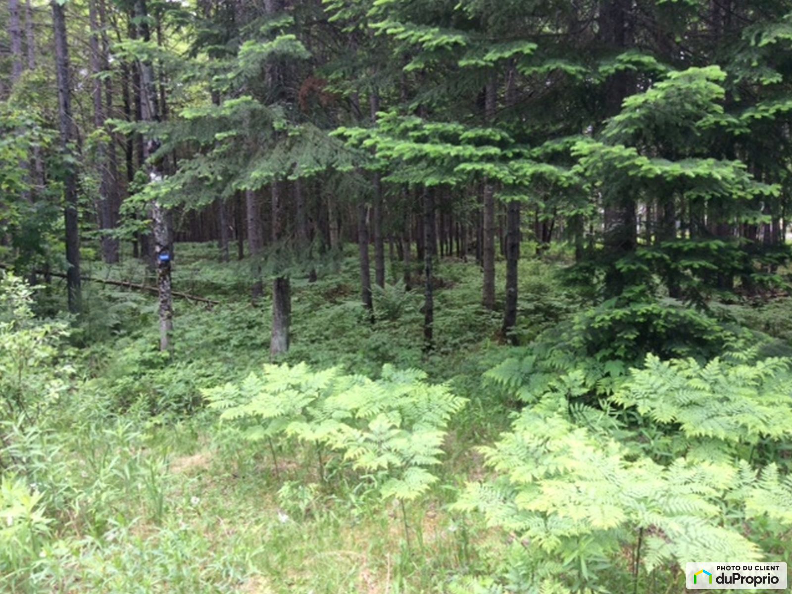 Terrain résidentiel à vendre StDenisDeBrompton 1061988