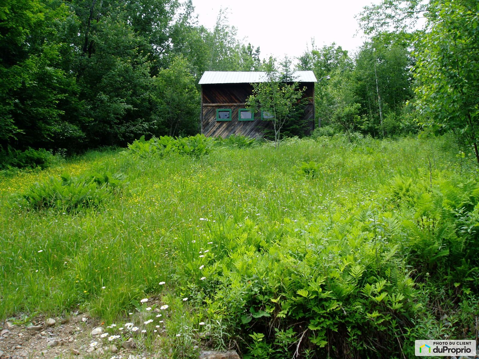 466 Chemin Du Lac Mercier — photo 3