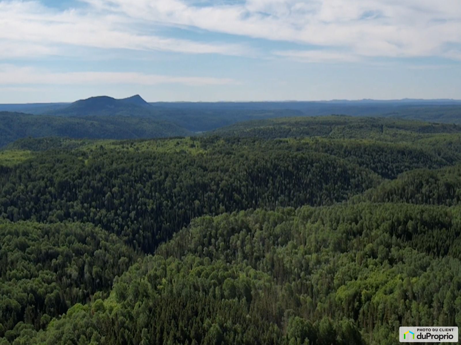 Terre à bois à vendre StAlexisDeMatapedia 1076044