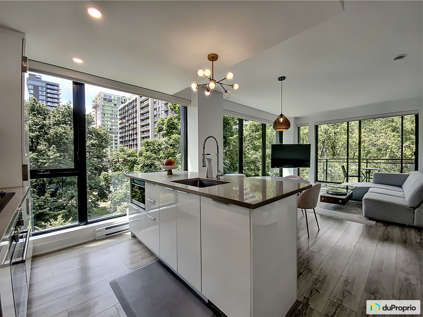 Condo à vendre Griffintown 2 chambres 2 salles de bain 1076737