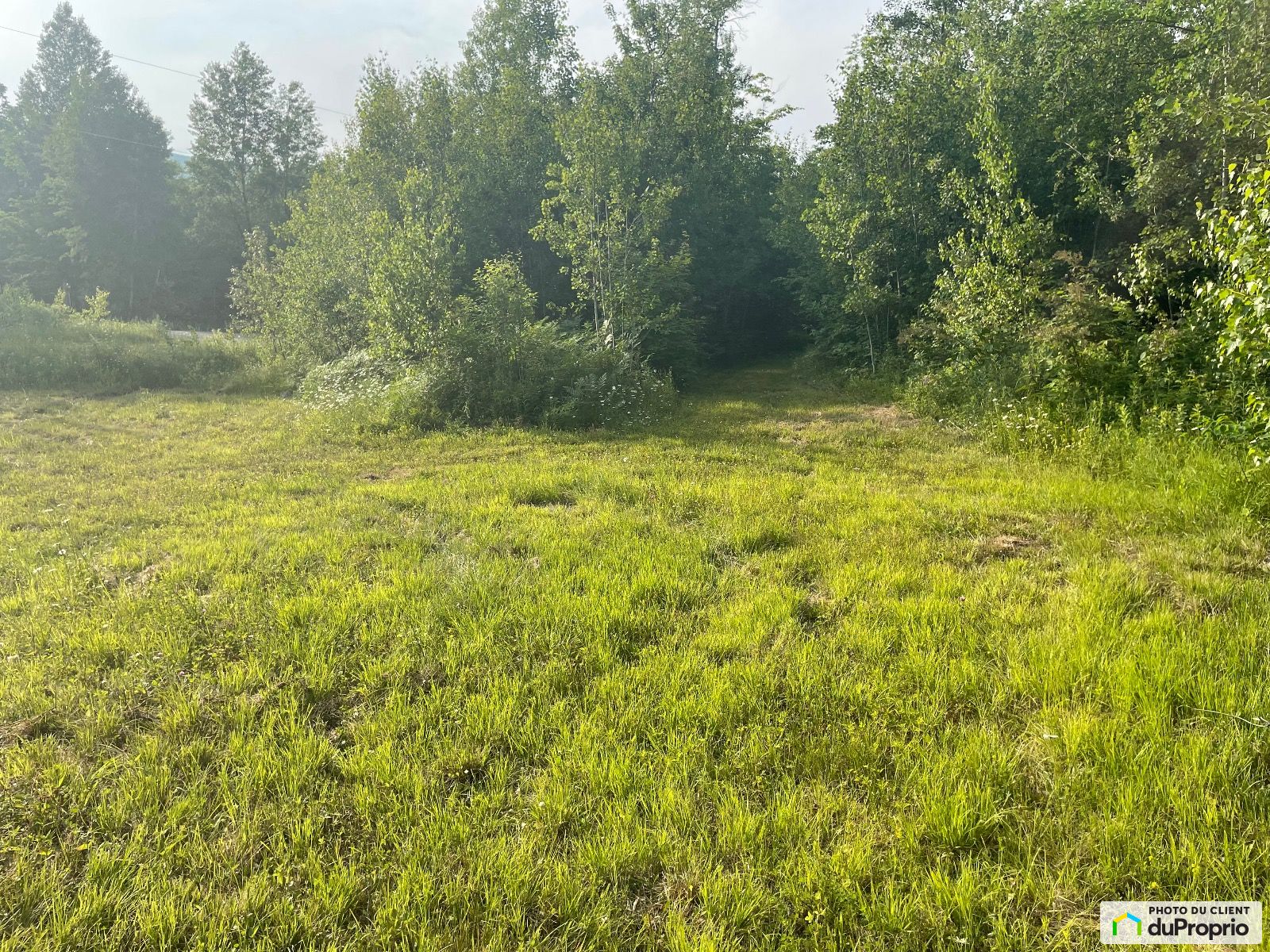 86 Chemin Lafond — photo 3