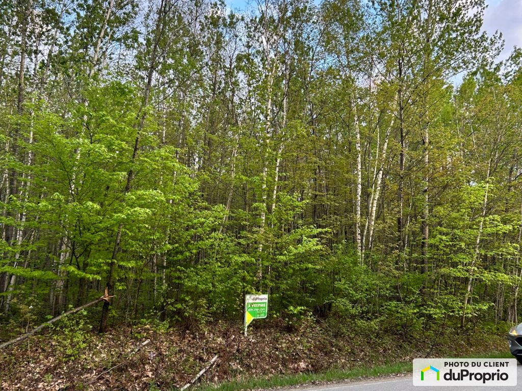 Condos, maisons à vendre, StBoniface