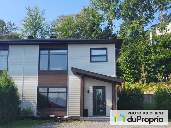 28, chemin Thomas-Griffin, Stoneham à vendre