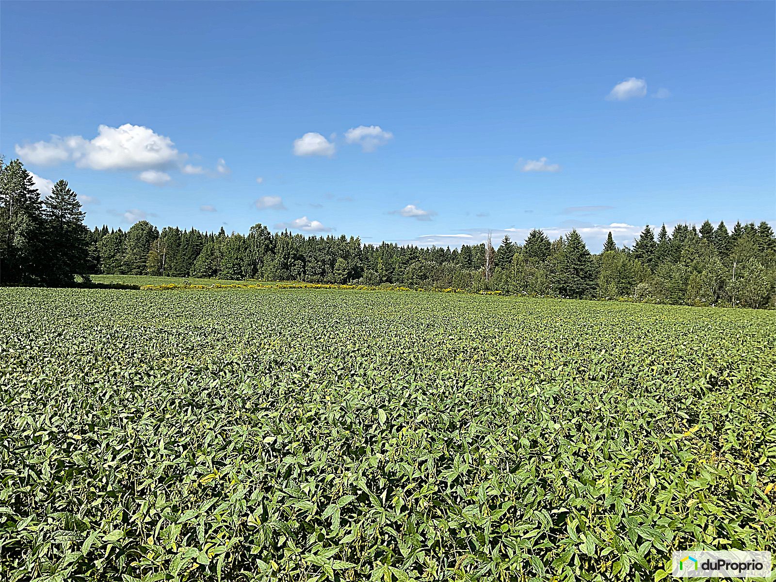 Arable Land for sale Frampton 1082622