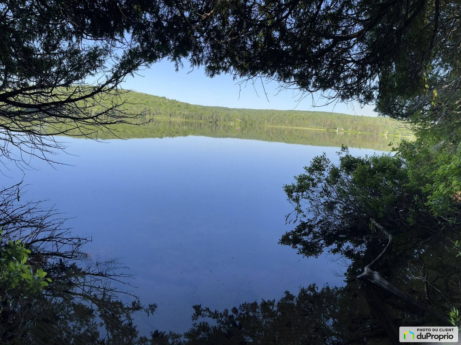 Chemin Du Lac Francis — photo 3