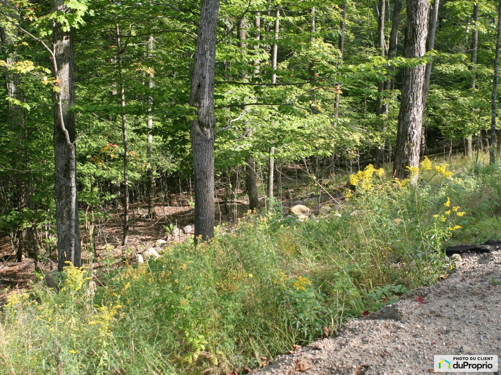 Chemin De La Grosse Roche — photo 3