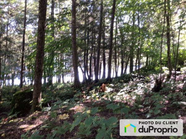 Lake Access - 1143 chemin du Lac Doré Nord, Duhamel for sale