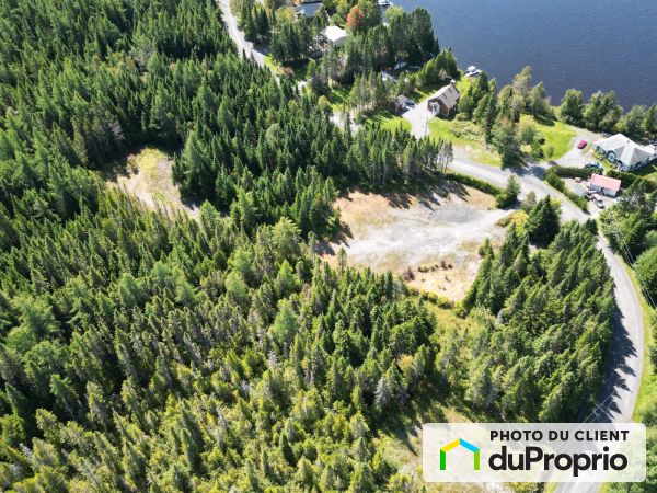 Vue aérienne - 159, chemin du Lac Algonquin, Ste-Rose-De-Watford à vendre