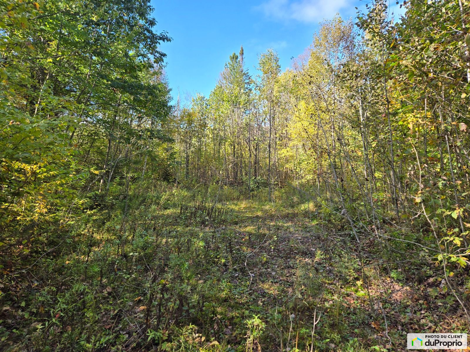 705 3E Rang De Peterborough Su — photo 3