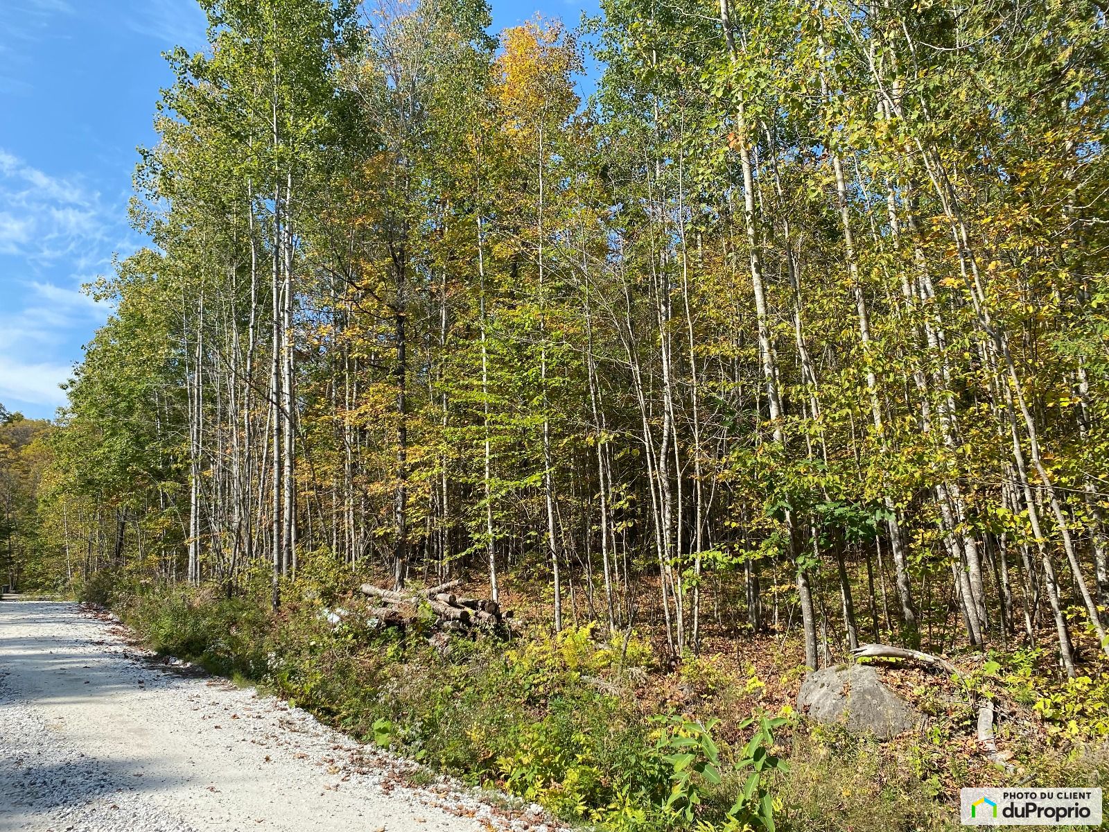 11 Chemin Thompson — photo 3