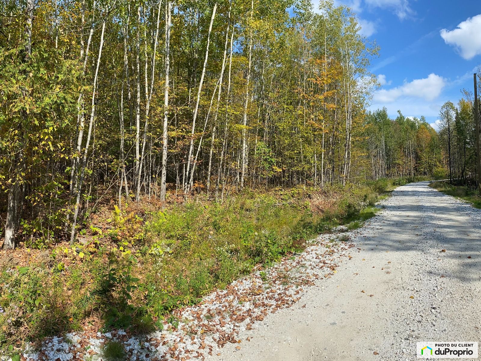11 Chemin Thompson — photo 2
