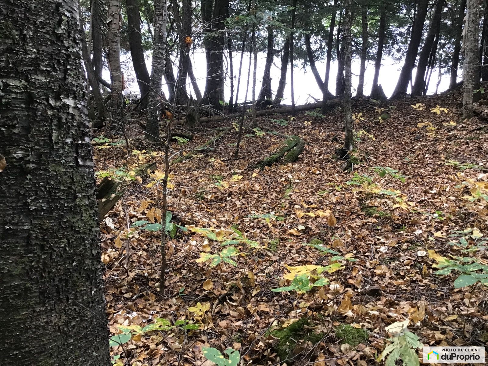 17 Chemin Lachance — photo 3