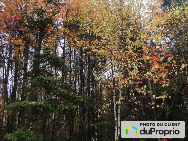 , rue de la Falaise, St-Gabriel-De-Valcartier à vendre