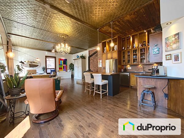 Loft - 6511, rue Saint-André, Rosemont / La Petite Patrie à vendre