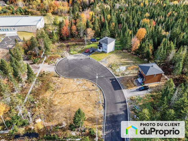 9, rue des Carpates, Ste-Brigitte-De-Laval à vendre