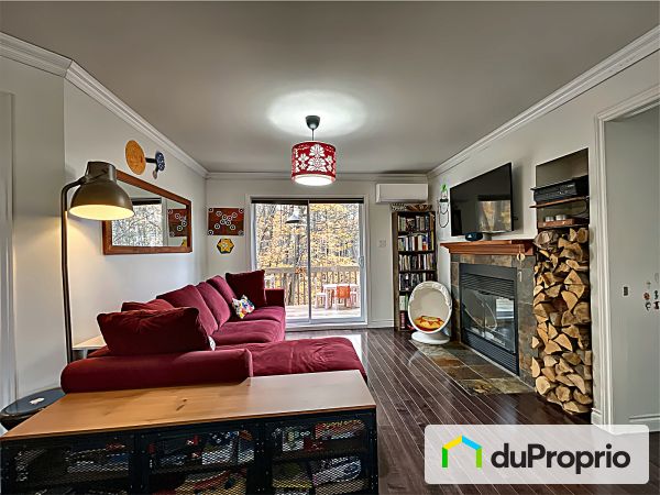 Living Room - 117 chemin de Mont-Sutton-Heights, Sutton for sale