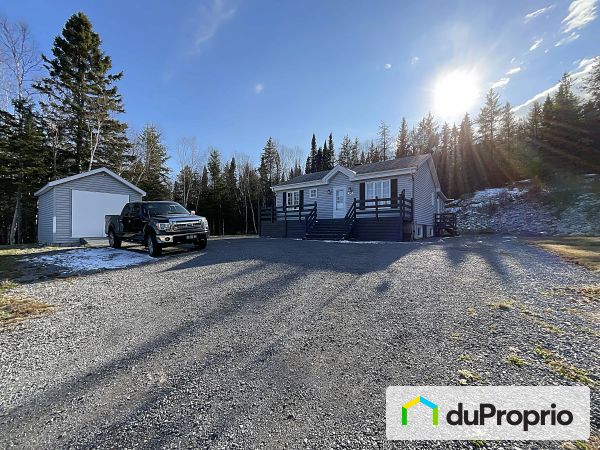 Extérieur - 56, rang Sainte-Philomène, La Malbaie (Ste-Agnès) à vendre