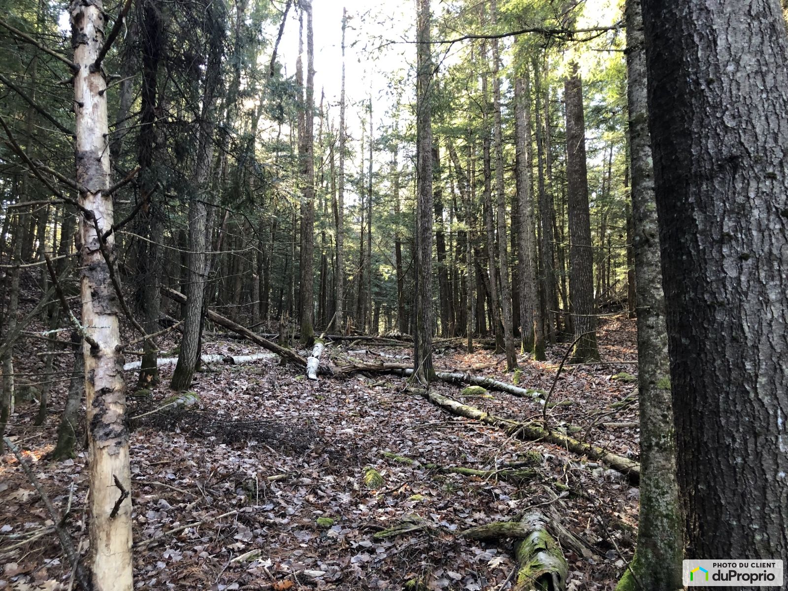 Chemin Clark — photo 3