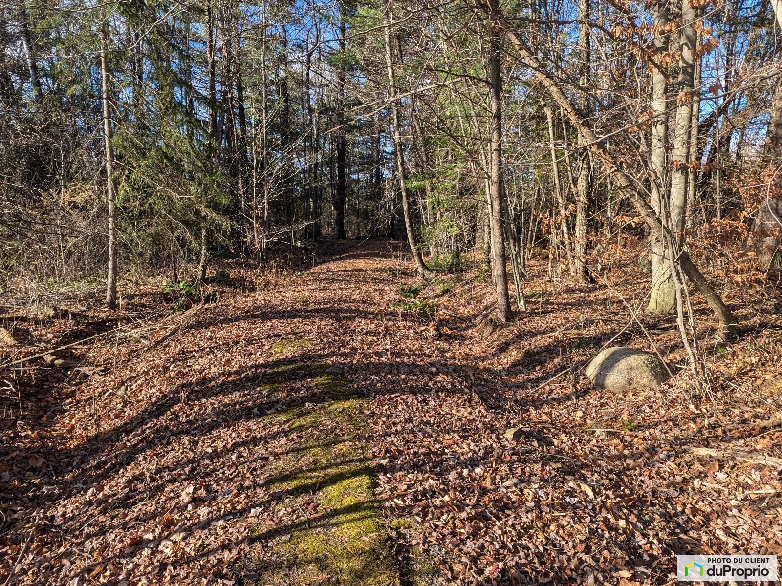 Rang Belanger — photo 3