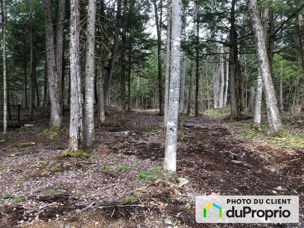 Environment - 4683 rue Jean-Saulnier, Orford for sale