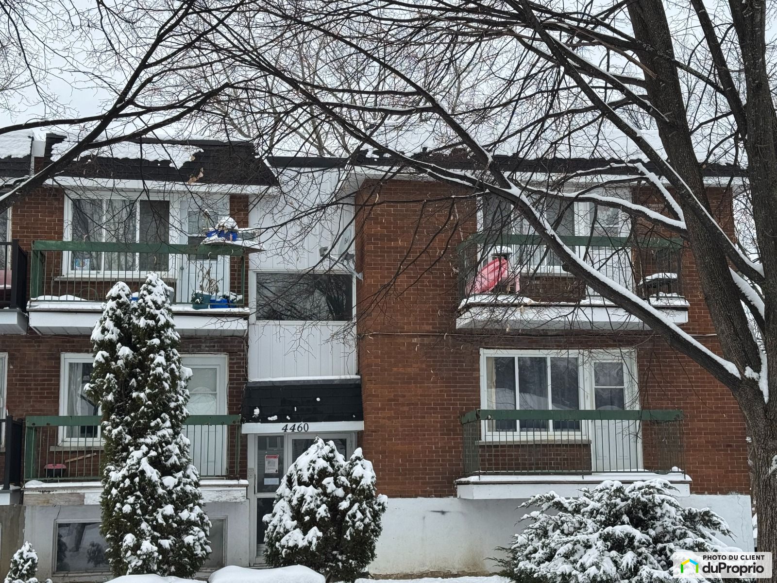4460 Rue Elgin — photo 3