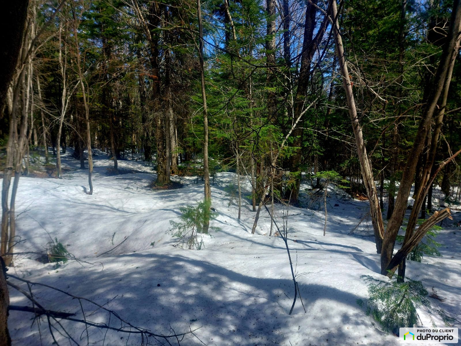 6 Chemin De La Sainte Monique — photo 3