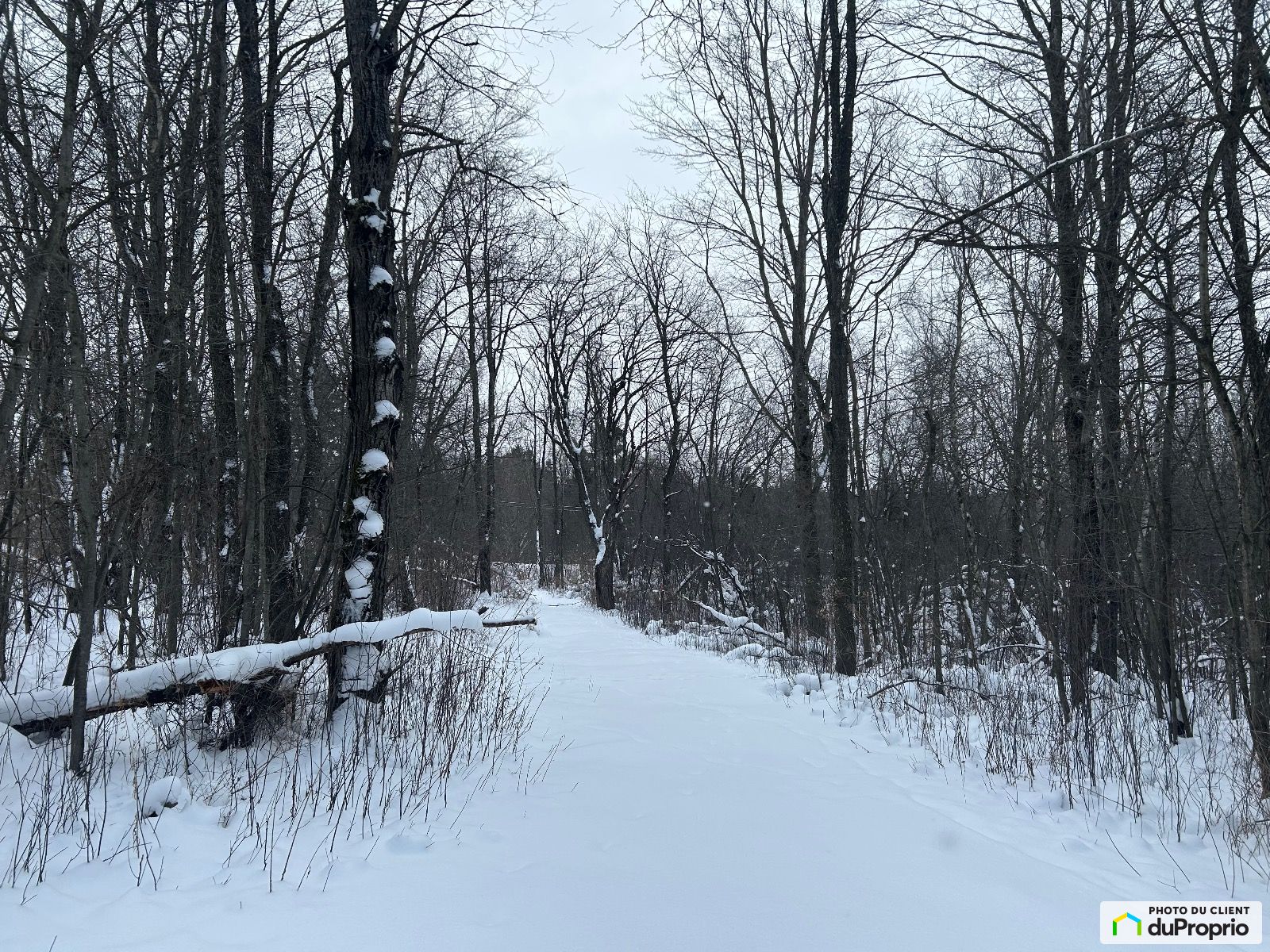 12E Rang — photo 3