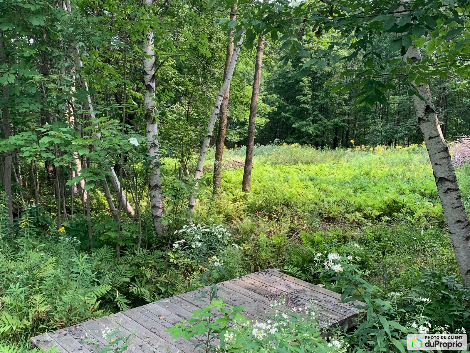 Chemin Schweizer — photo 3