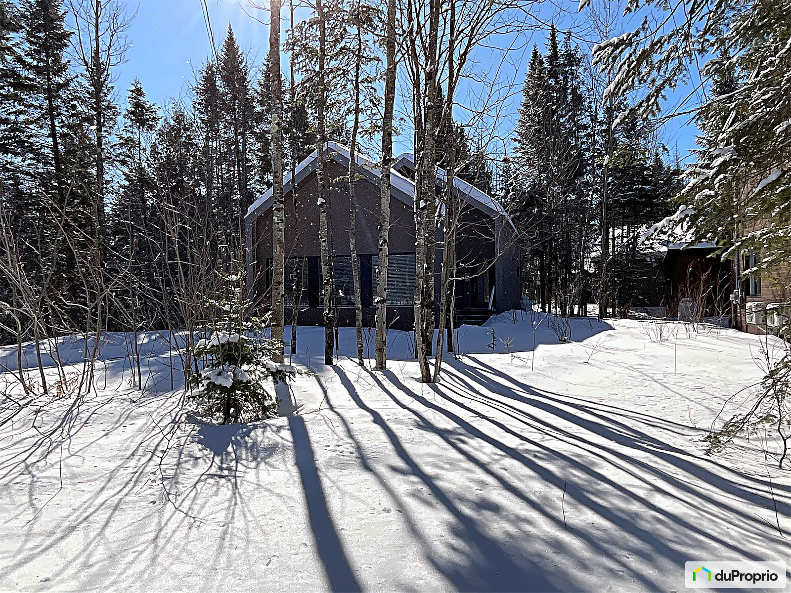 1B 500 Boulevard Notre Dame — photo 3