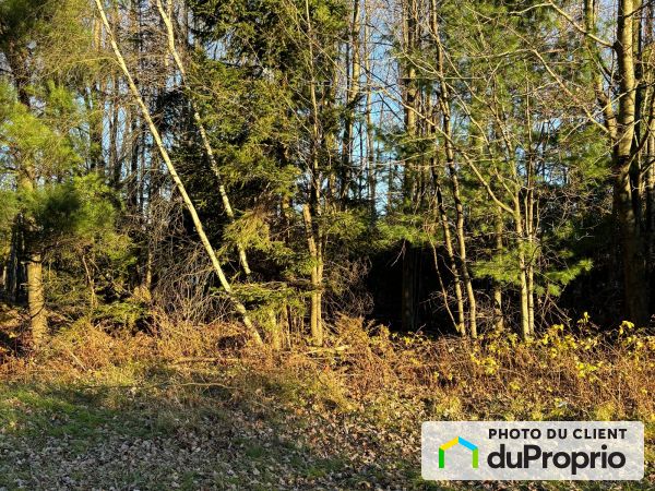 rue Eusèbe-Lemaire Nord, Drummondville (Drummondville) à vendre