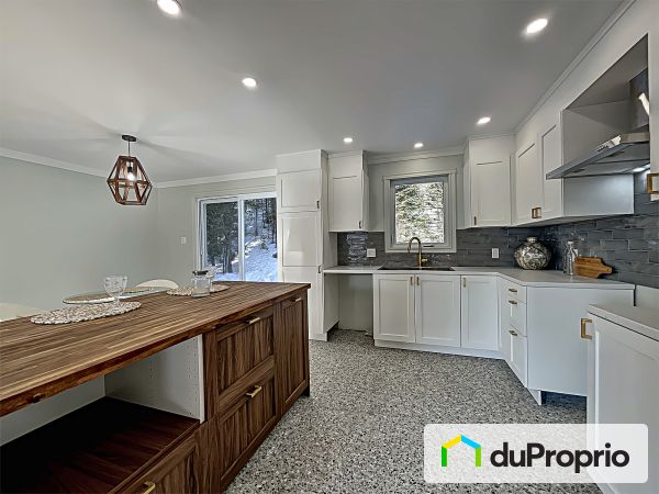 1075 rue Levac, Ste-Agathe-Des-Monts à vendre