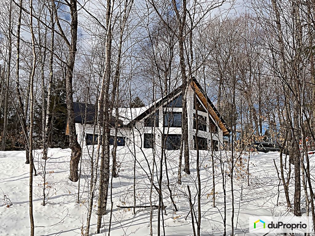 146 Rue Manon Du Lac Lamarre — photo 2