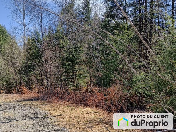chemin des Bouleaux, Potton (Mansonville) for sale