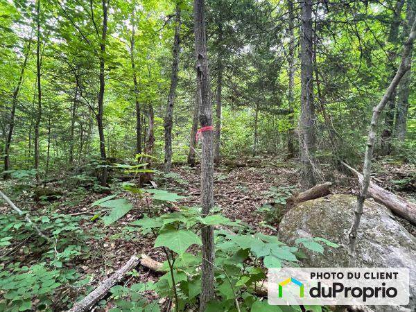 , rue Trudeau, Ste-Agathe-Des-Monts à vendre