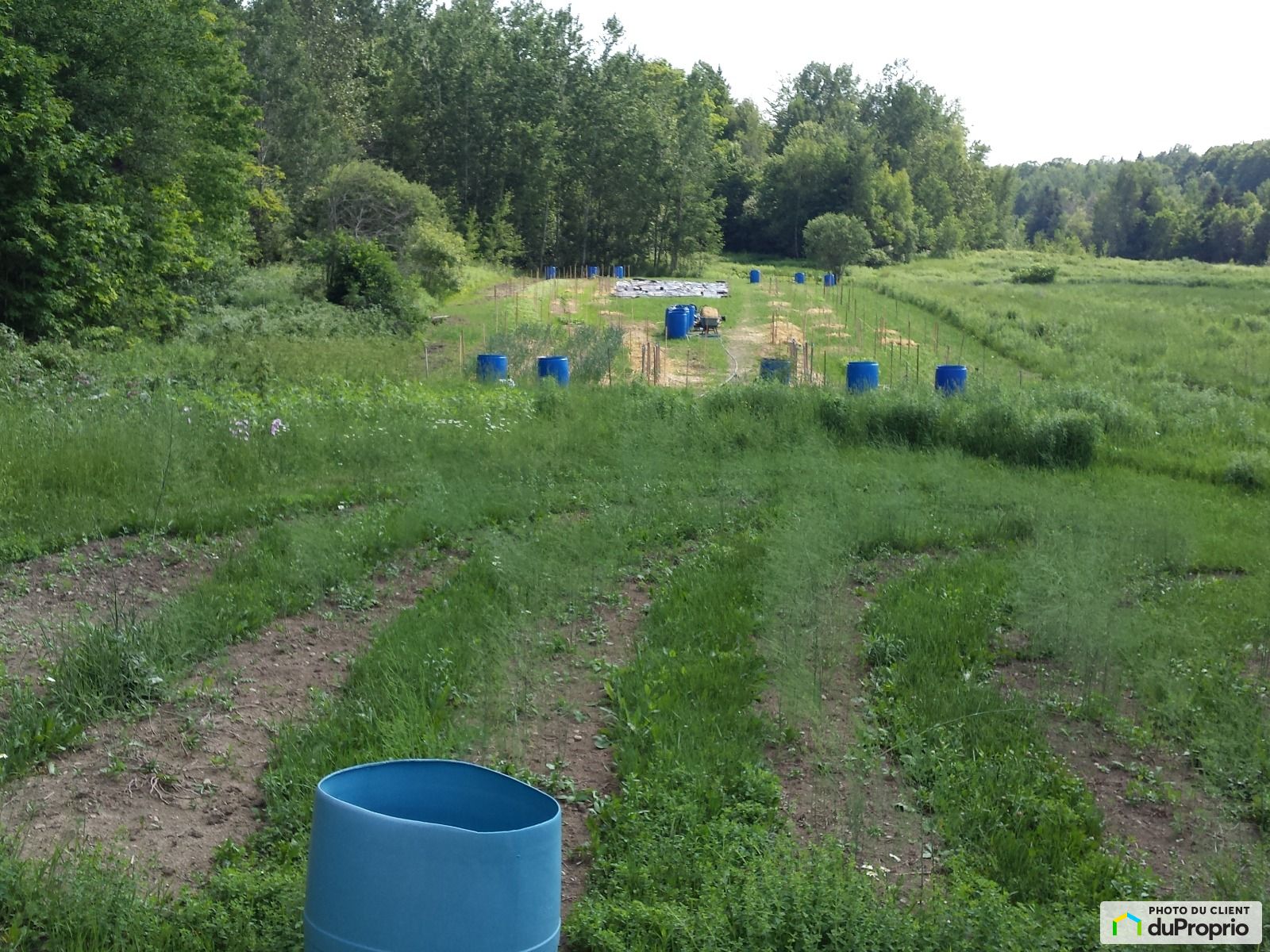 3881 Rang Saint Anne — photo 3