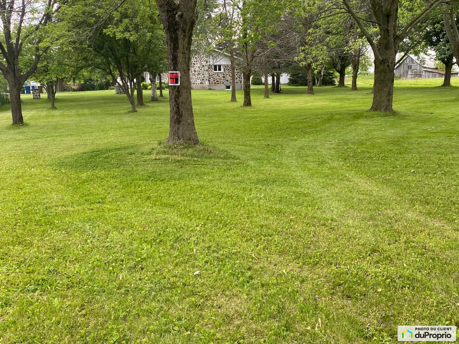 248 Rang Sainte Marguerite — photo 3