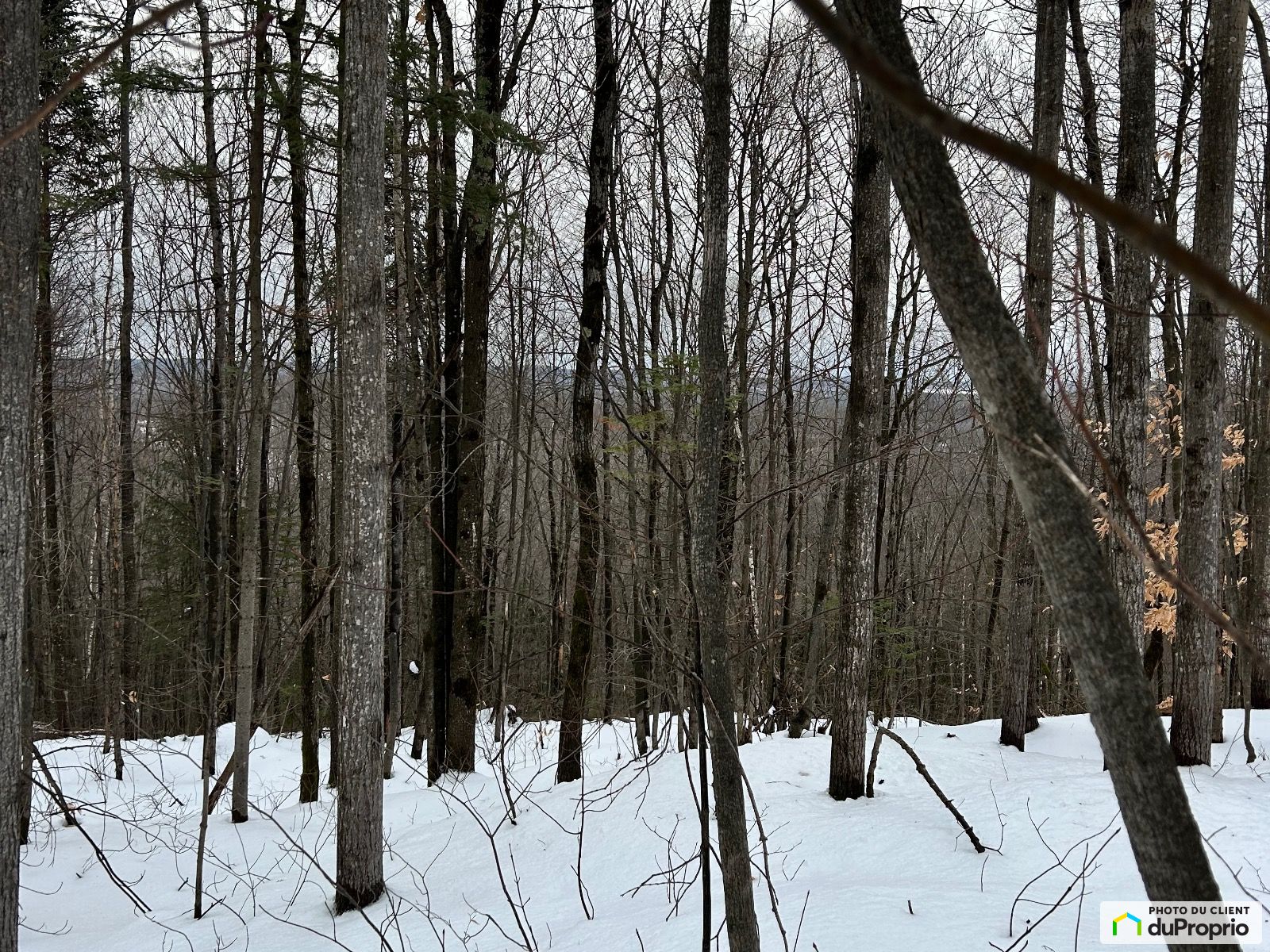 3200 Chemin Plante — photo 1