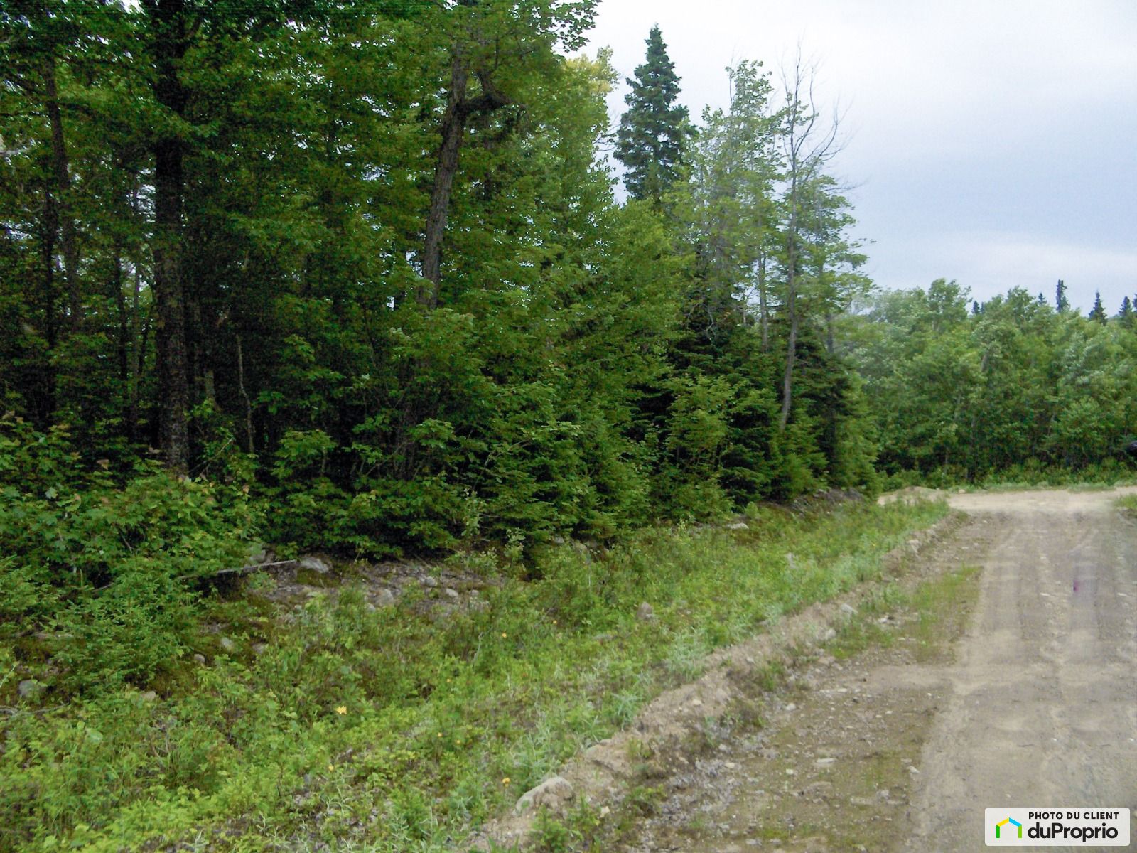 Chemin De Lhonorine — photo 1