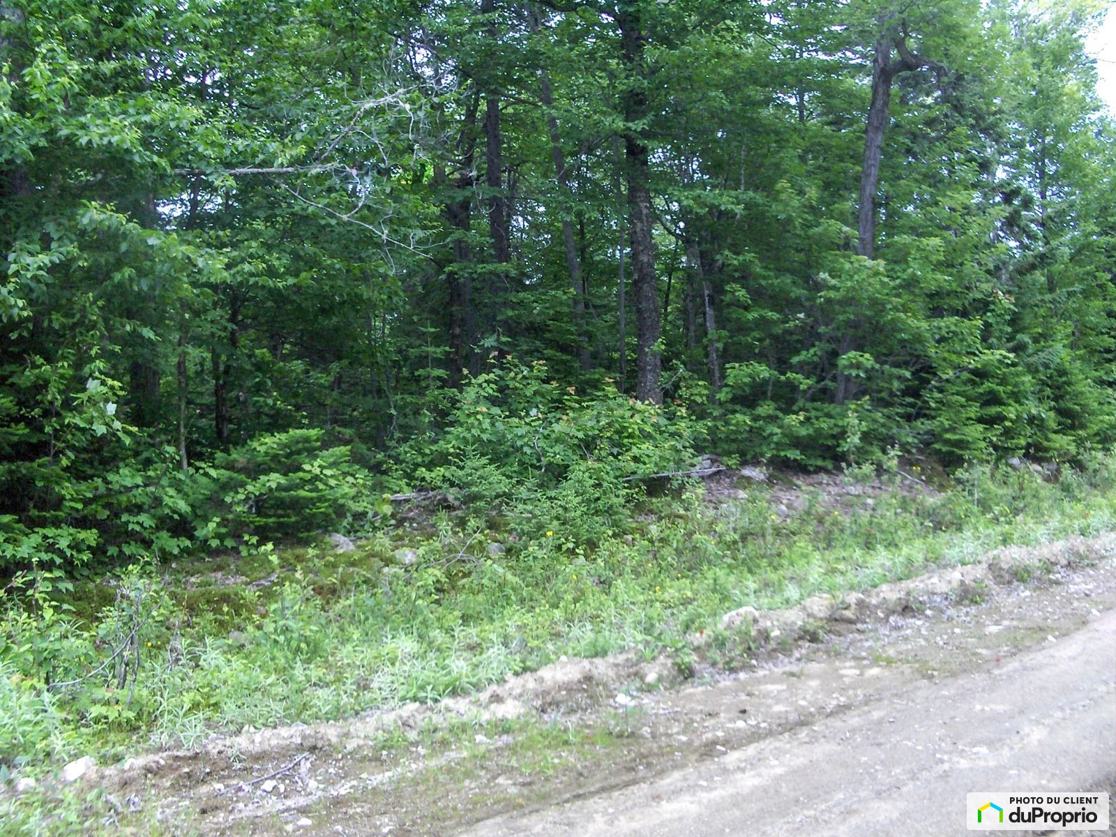 Chemin De Lhonorine — photo 2